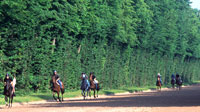 Entrainement terrain des aigles