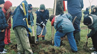 Enfants plantant un arbre